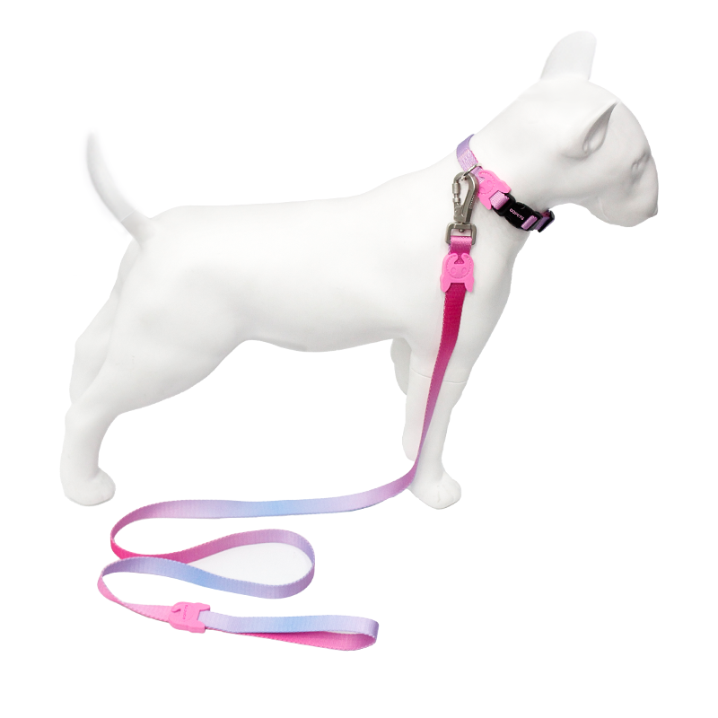 2024 summer luxury polyester dog metal pet tag engraved laser logo dog collar leash custom wholesale