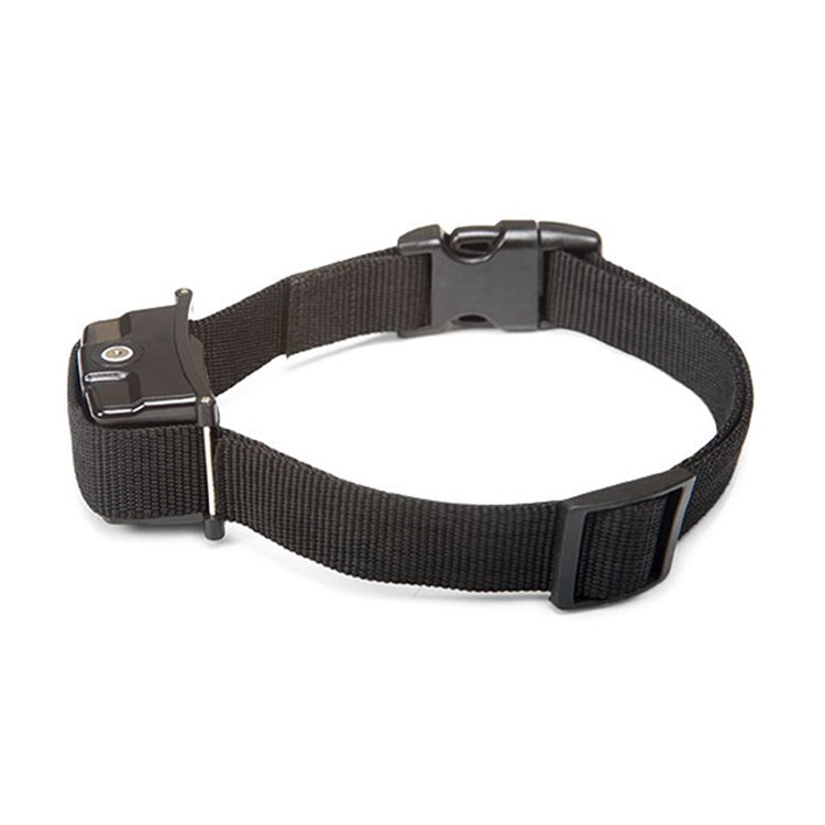 Pet supplies safe no shock bark dog collar