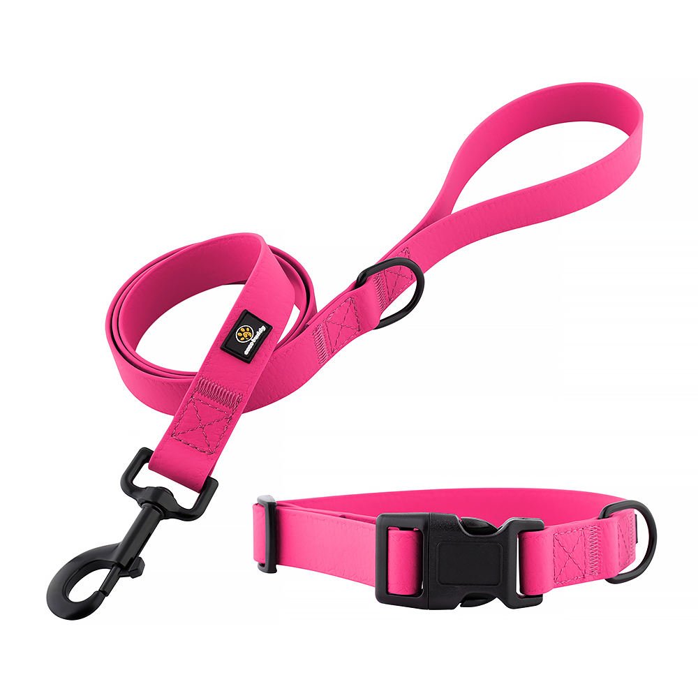 Dog Collar and Leash Set Waterproof PVC Pet Collar and Leash with Quick Release Buckle and Zinc Alloy Hook OEM/ODM
