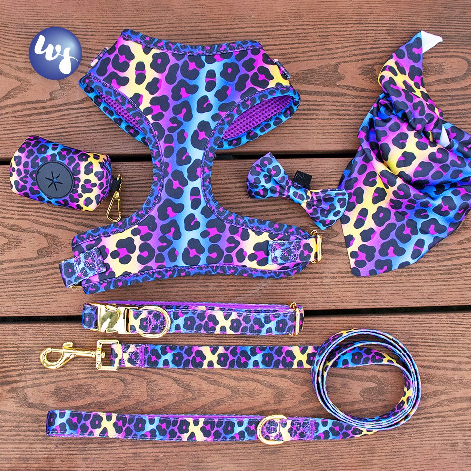 Wholesale Custom Puppy Dog Collars Leashes and Harnesses Set Custom Logo Leash and Collar Set