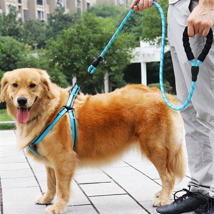 Manufacturers Comfortable Padded Handle Strong Nylon Reflective Training Safety Rope Dog Leash