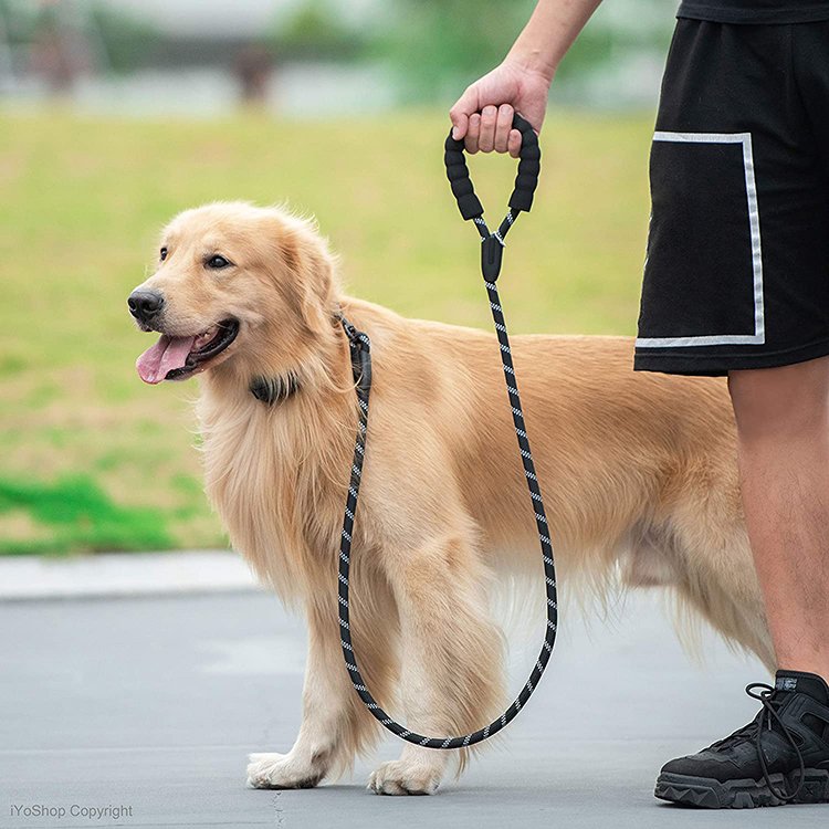 Factory Wholesale 6ft Strong Pet Leash Dog Leash Pet Collars & Leashes With Zipper Pouch For Small Medium And Large Dogs