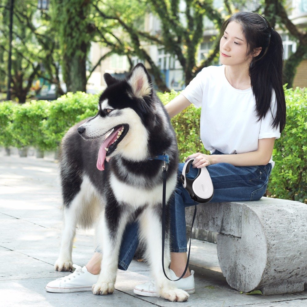 Pet Collars & Leashes and Eco-Friendly Feature Hot Sale Supre Good Quality retractable dog leash