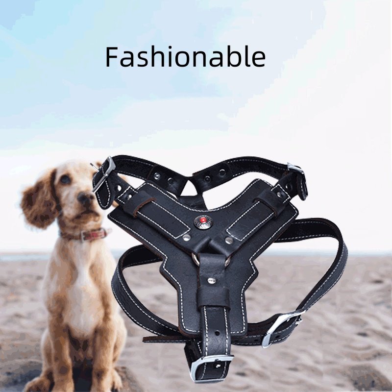 Pet chest harness,Genuine leather dog chest strap with top layer cowhide chest strap suitable for large and medium-sized dogs