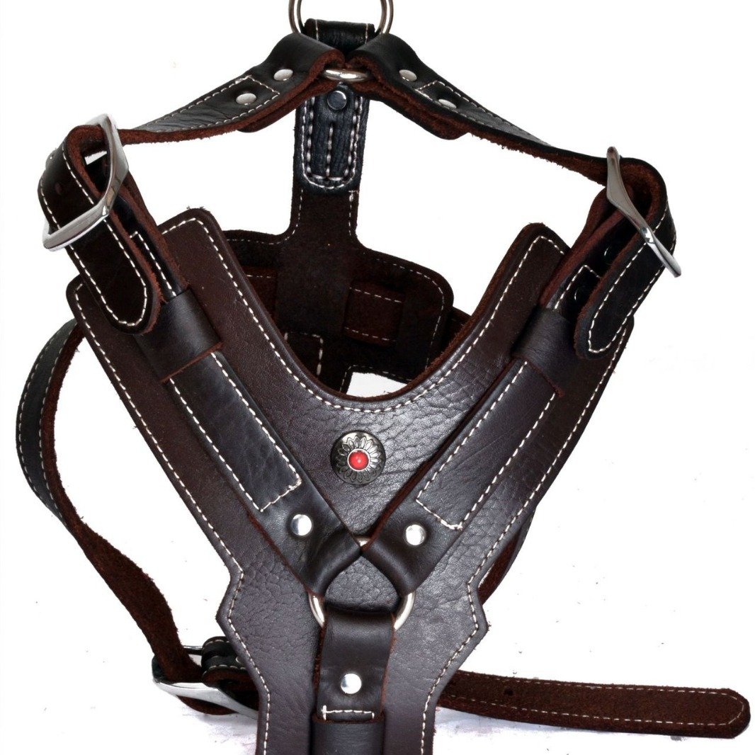 Pet chest harness,Genuine leather dog chest strap with top layer cowhide chest strap suitable for large and medium-sized dogs