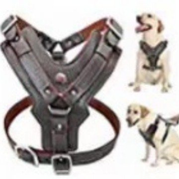 Pet chest harness,Genuine leather dog chest strap with top layer cowhide chest strap suitable for large and medium-sized dogs