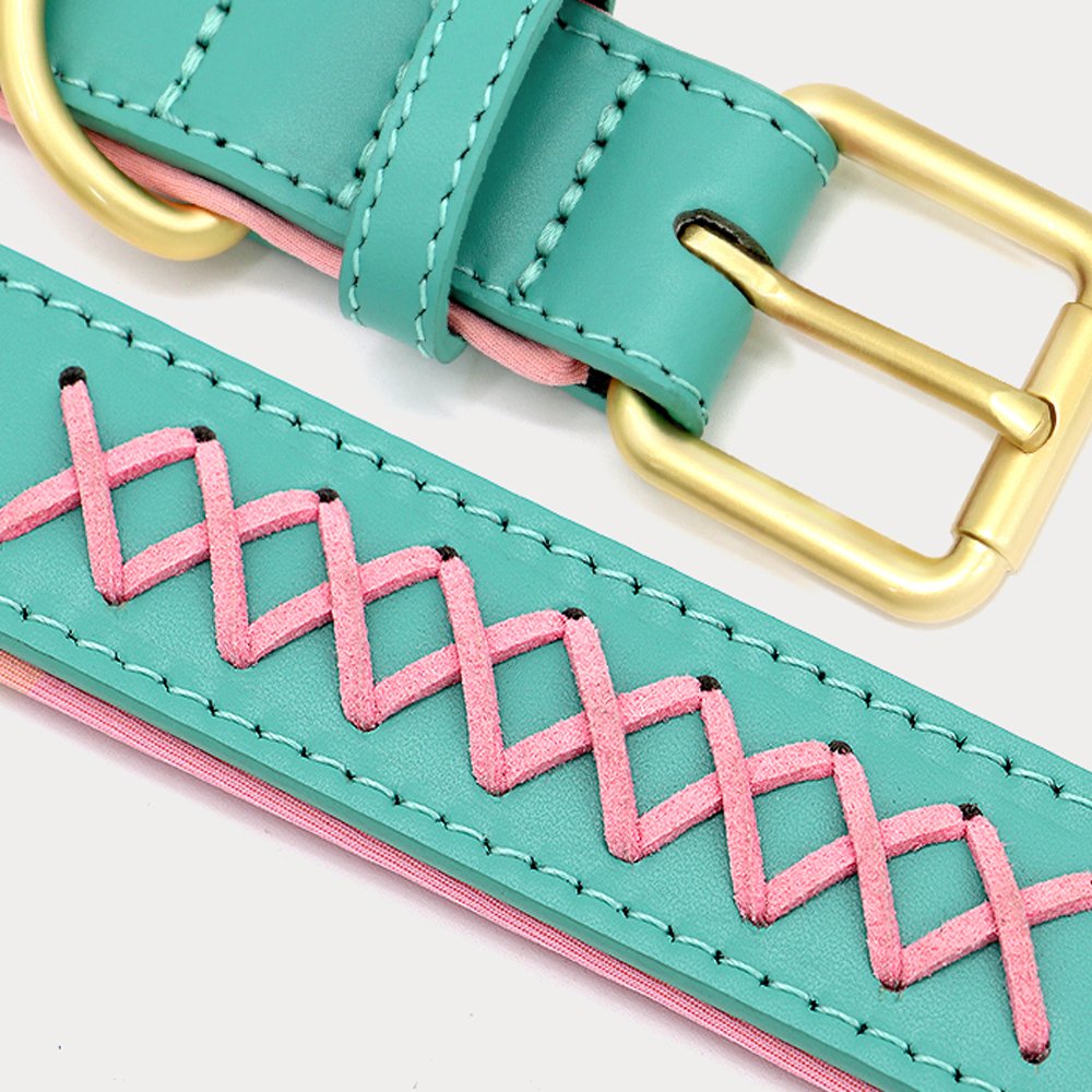 Premium Quality Vegan Leather Luxury PU Dog Collar Neoprene Padded Pet Collar with Matching PU Leash