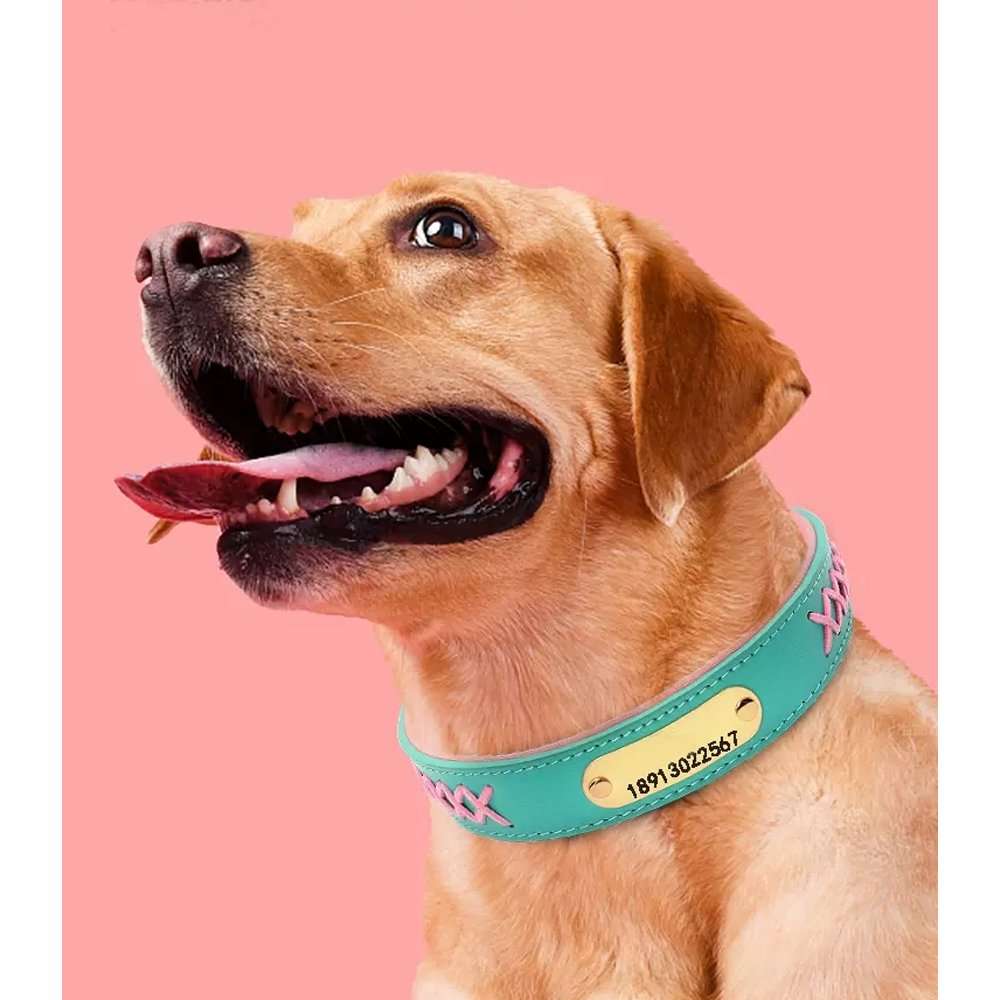 Premium Quality Vegan Leather Luxury PU Dog Collar Neoprene Padded Pet Collar with Matching PU Leash