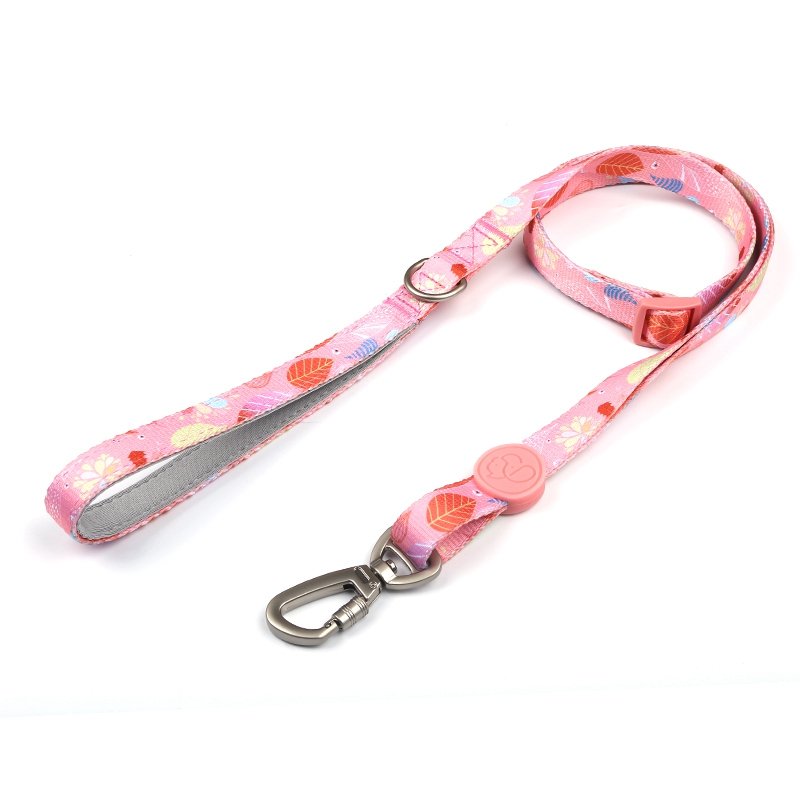 Manufacturer Custom Logo Pattern Pet Collars Leashes Tactical Dog Collar And Leash Set