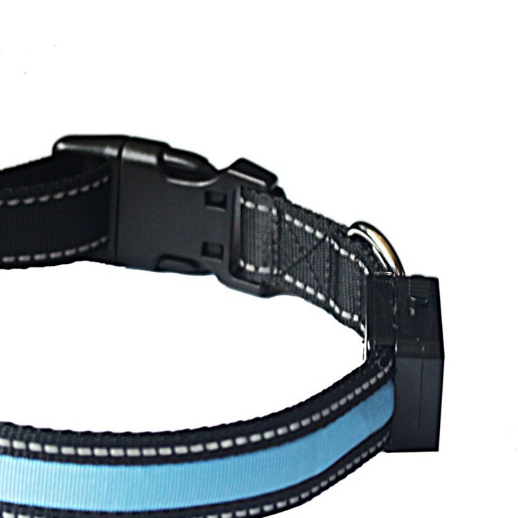 New design fashion night safety LED pet dog collar