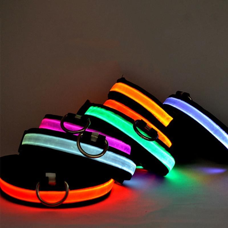 Hot Selling USB Rechargeable LED Dog Collar Cat Pet Multicolour Light up Dog Collar Safety Rechargeable Glowing Dog Collar