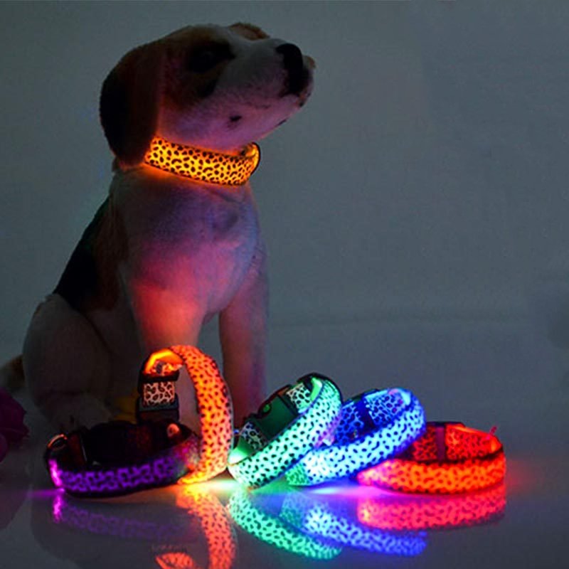 Hot Selling USB Rechargeable LED Dog Collar Cat Pet Multicolour Light up Dog Collar Safety Rechargeable Glowing Dog Collar