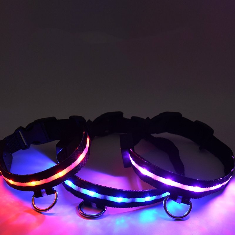 Hot Selling USB Rechargeable LED Dog Collar Cat Pet Multicolour Light up Dog Collar Safety Rechargeable Glowing Dog Collar