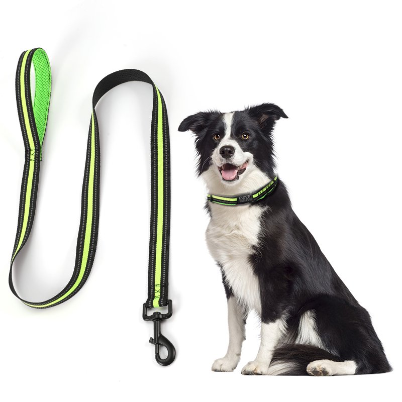 Wholesale Pet Supplies Private Label Luxury Pet Dog Collars Leashes With Metal Buckle