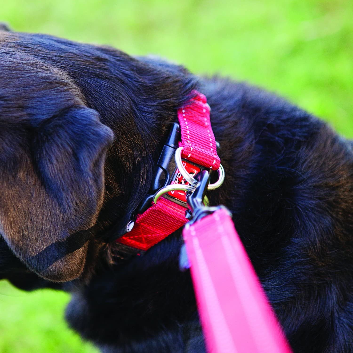 Hot sell Dog Collar Adjustable Training Explosion proof Nylon Dog Collar with Double D-Rings Reflective Stripe for walking dog