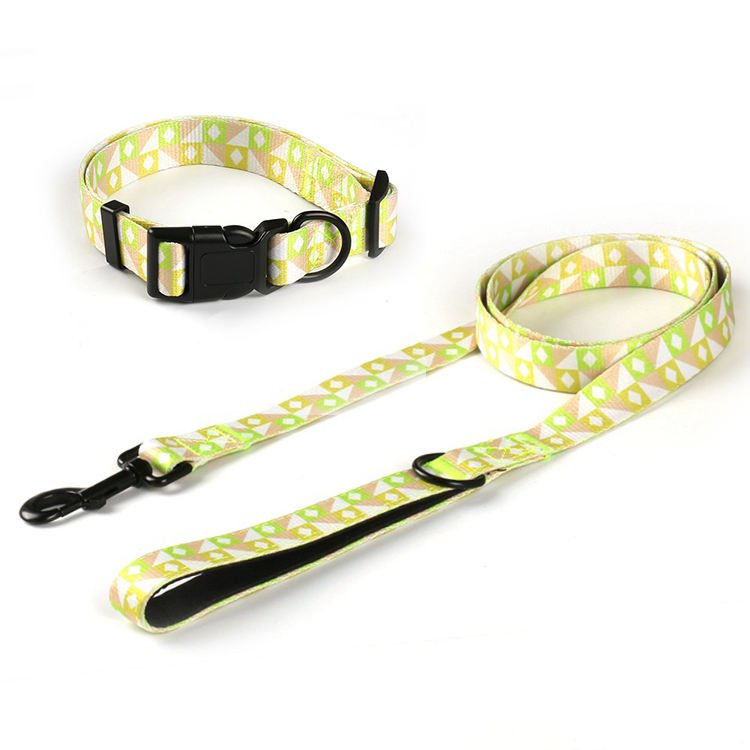 Manufacturer OEM Custom Sublimation Pattern Personalized Polyester Dog Collar And Leash Set Custom Dog Leash Pet Collars Leashes