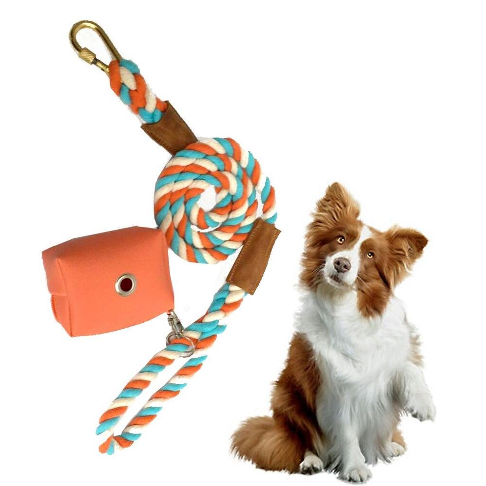 Dog Dispenser Bag Poop Bag Leash Set Treat Bag PU Leather Genuine Leather Vegan Leather Canvas Fabric Luxury Dog Products Orange