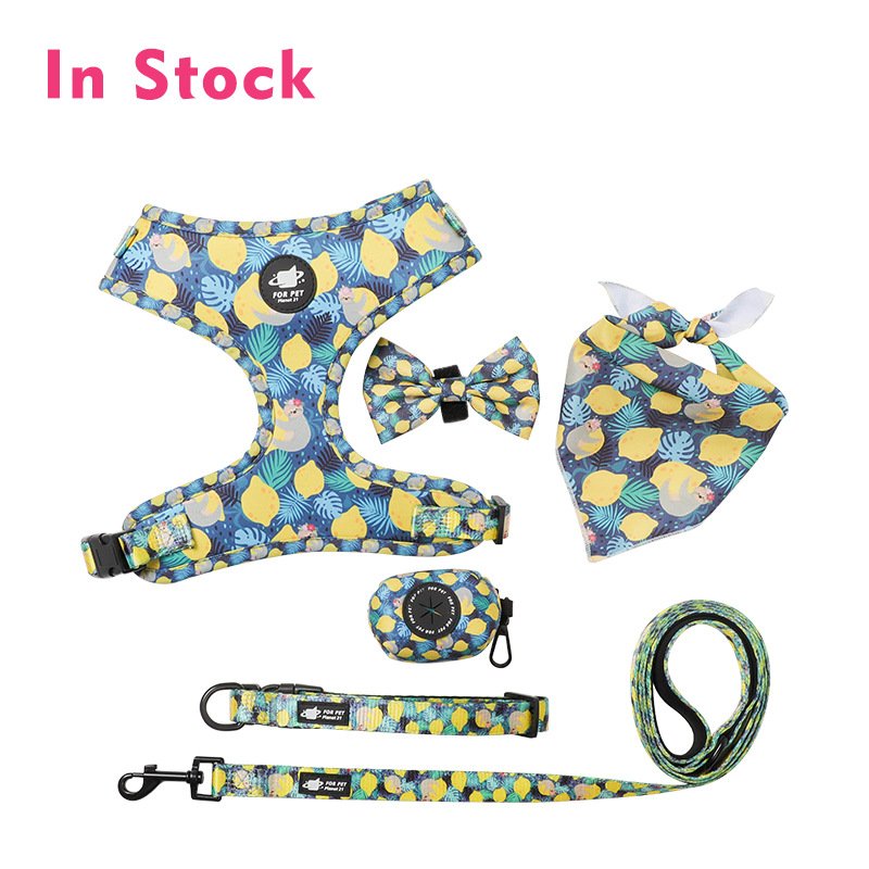 Custom Dog Harness Set Luxury Breathable Neoprene Pet Leash And Harnesses Adjustable Dog Collars with Pet Poop Bag