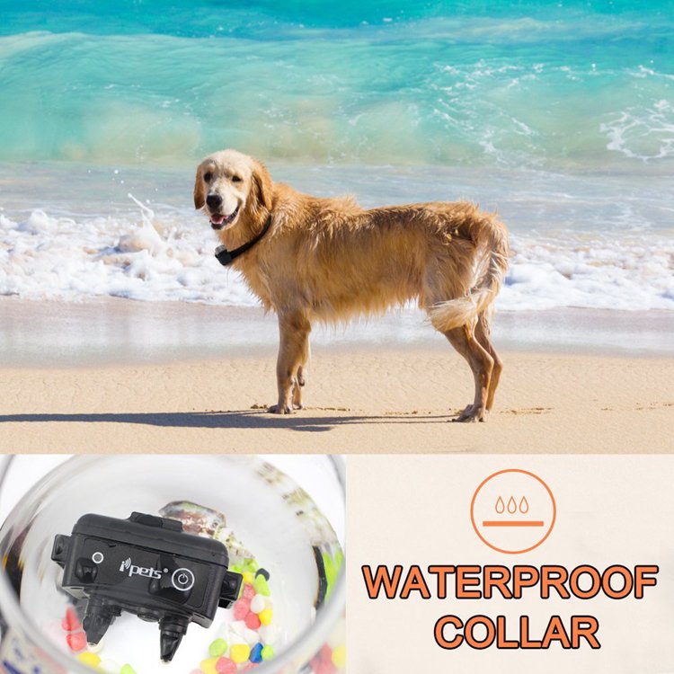 Pet supplies safe remote dog training collar tactical dog collar