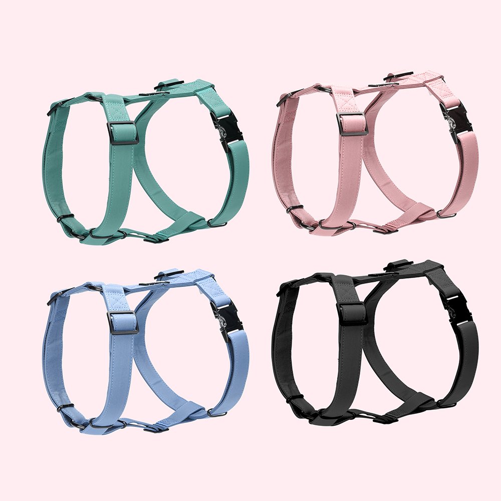 Custom Material Color Dog Leash with Poop Bag Holder Triple- Proof Fabric Pet Accessories