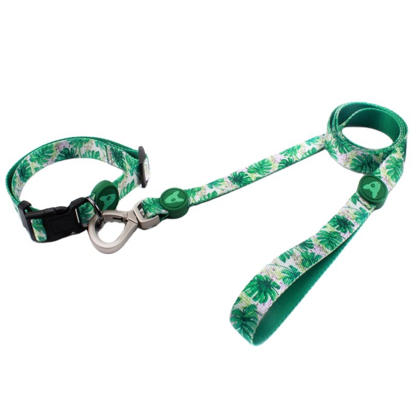 2024 Innovative Dog Supplies Hot Custom Dog Collar And Leash Engraved Polyester Rubber Logo Pet Dog Collar Padded Handle Leash
