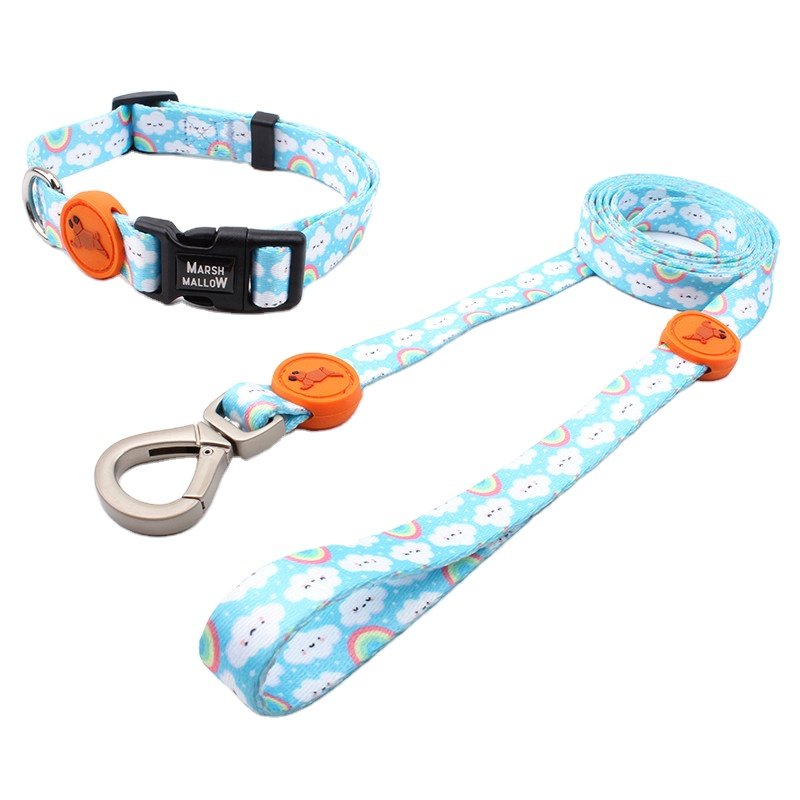 2024 Innovative Dog Supplies Hot Custom Dog Collar And Leash Engraved Polyester Rubber Logo Pet Dog Collar Padded Handle Leash