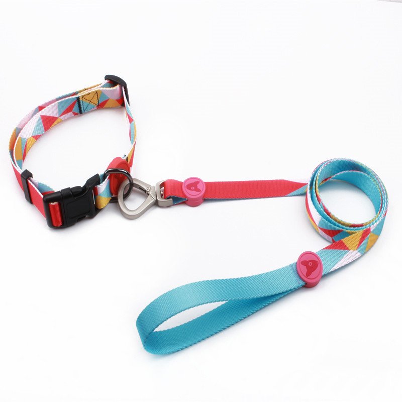 2024 Innovative Dog Supplies Hot Custom Dog Collar And Leash Engraved Polyester Rubber Logo Pet Dog Collar Padded Handle Leash