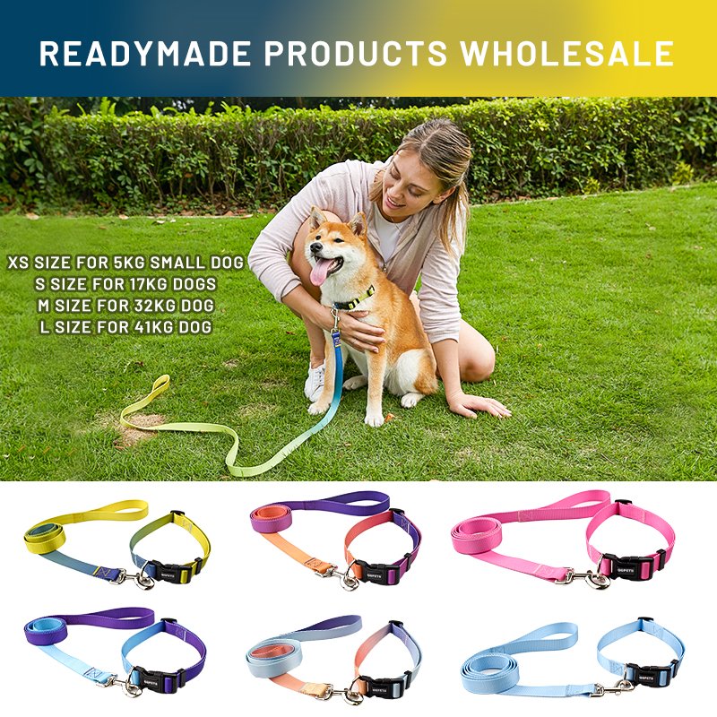 2024 Wholesale High Custom Pet Dog Collar And Leash Set Eco Fabric Personalized Nylon Adjustable Private Label Dog Leads Collars