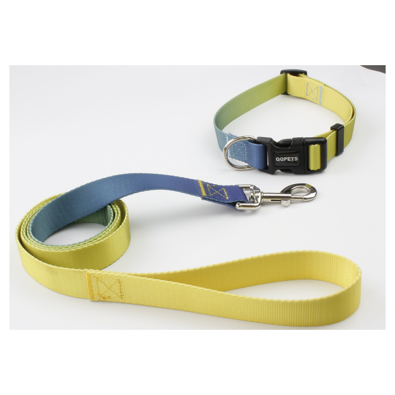 2024 New customized wholesale pet supplies dog multi-color colorful leash collar set