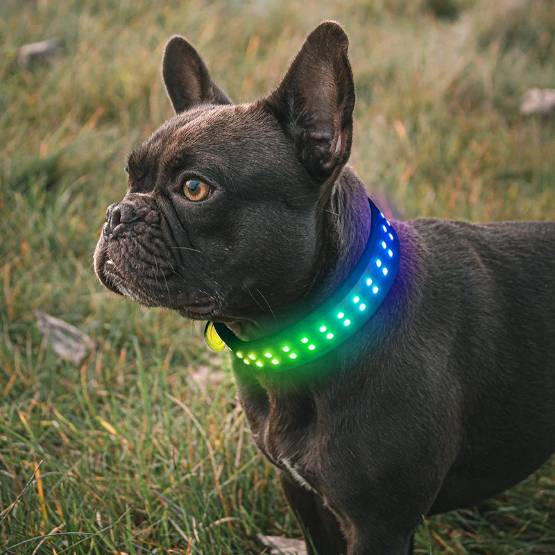 Luxurious Nylon Pet Collar With LED Light For Anti-Lost And Visible Leash At Night, Suitable For Dogs And Cats