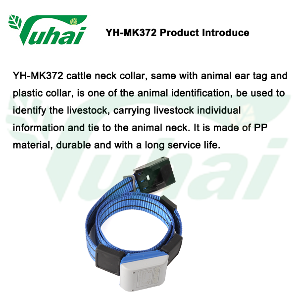 Plastic Cow Collar Step belt Provides animals walk Data animals Woven belt/cattle feeder