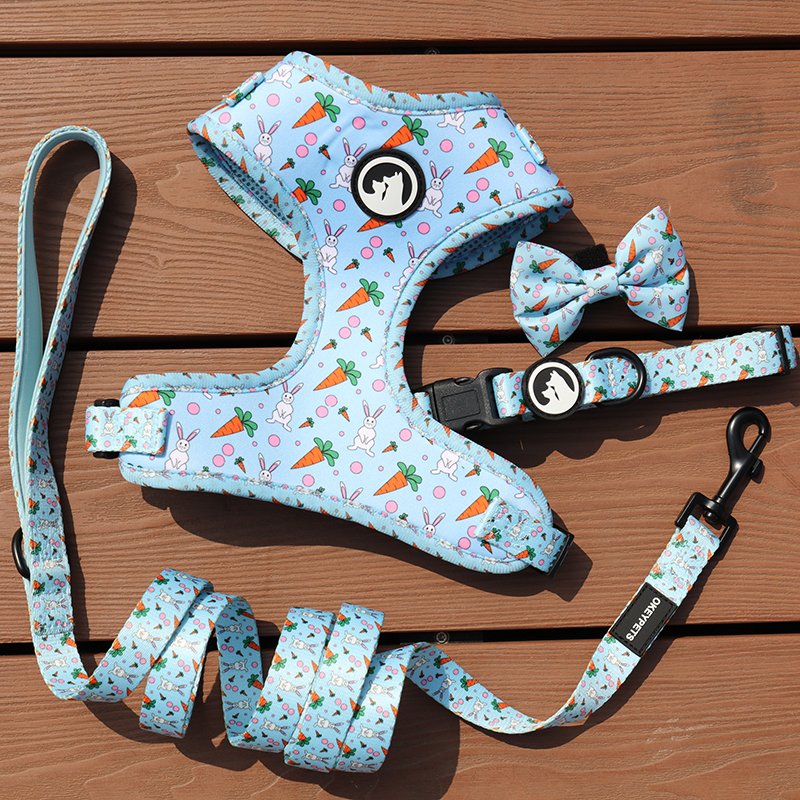 Floral Custom Neoprene Padded Pet Set Breathable Harness Poop Bag Fashion Luxury Dog Collars Leash Set