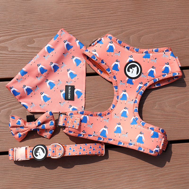 Floral Custom Neoprene Padded Pet Set Breathable Harness Poop Bag Fashion Luxury Dog Collars Leash Set