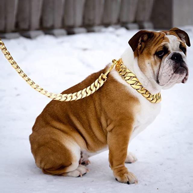 Best-Selling 32mm Gold Chain Leash for Stylish Dogs