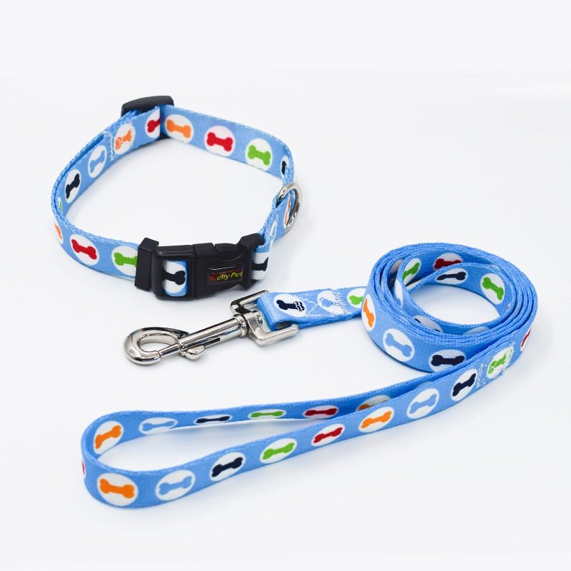 custom luxury pet dog training slip leash collar set and pet training collars leash set