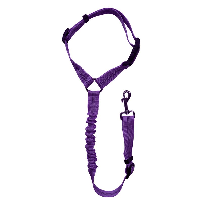 Pet car safety ropedog leash circular elastic stretchable reflective travel dog leash collardog collar and leash set