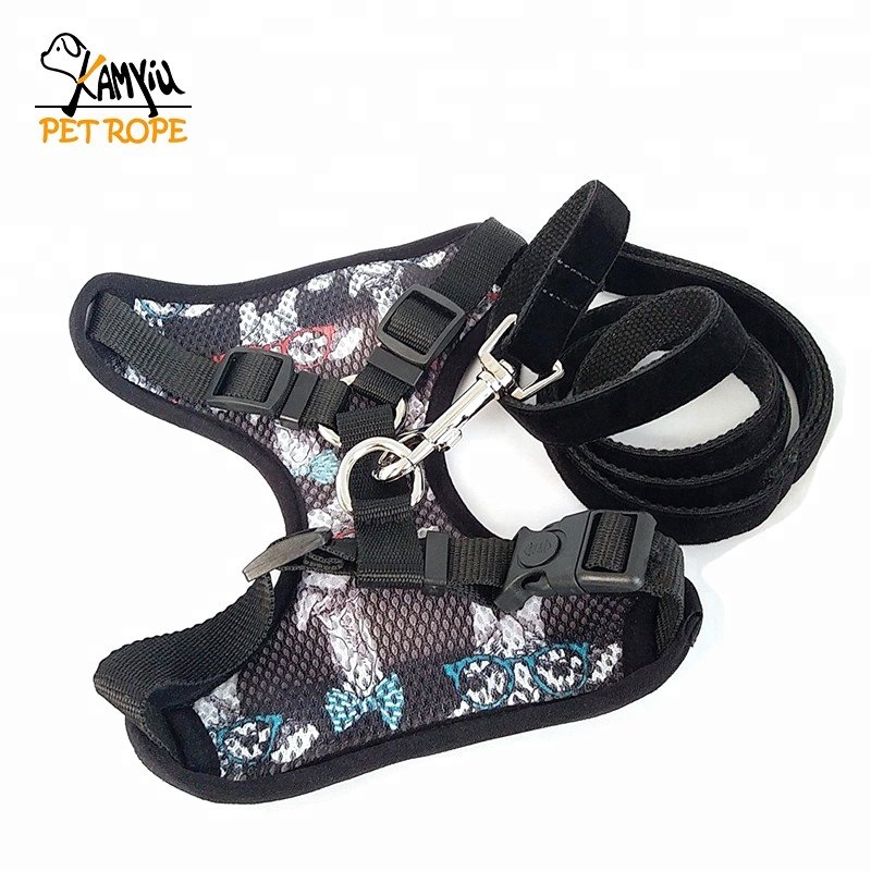 cute harness for dachshunds with ice cream print wiener dog harness with leash