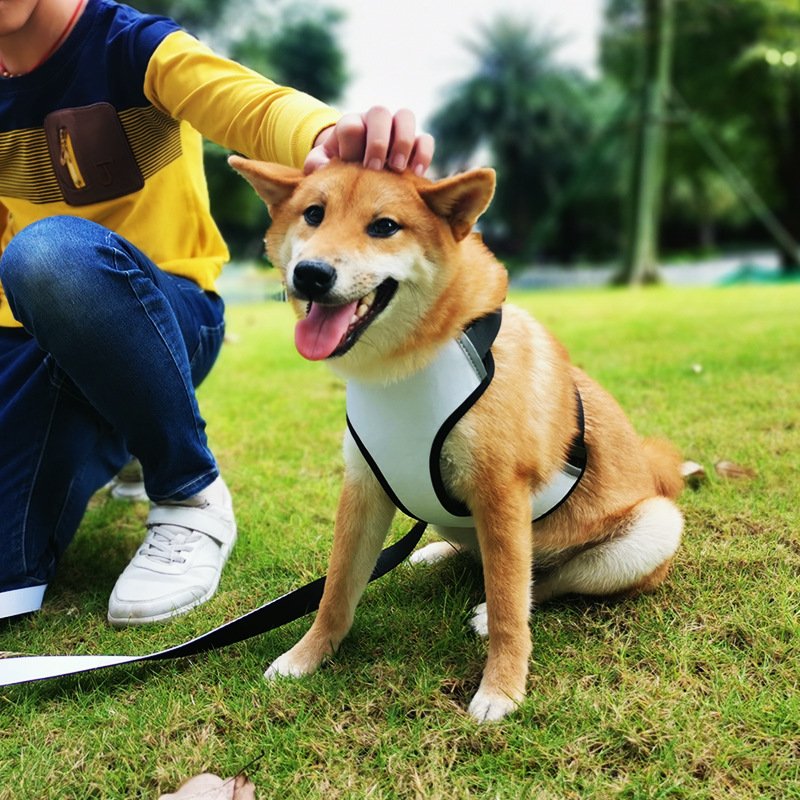 Dog accessories Neoprene Self Sublimation Pet Chest Vest Blank Plain Dog Harness With Matching Dog Leash