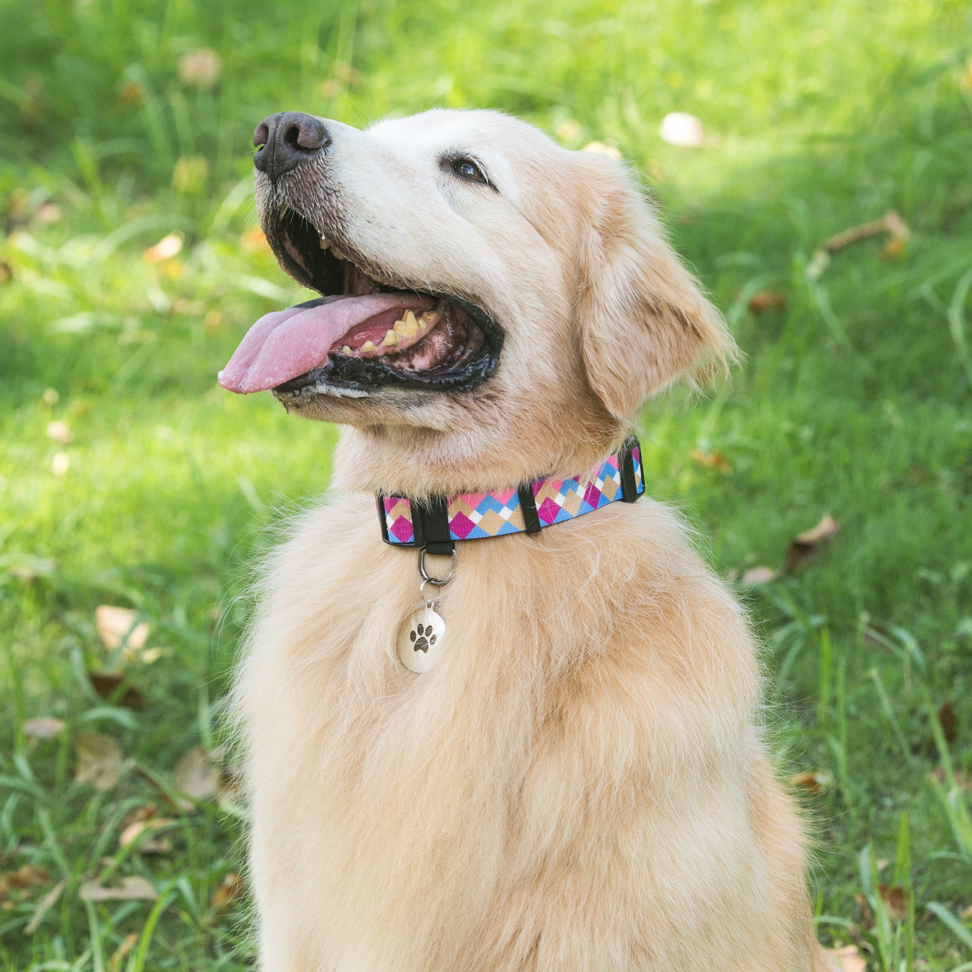 Custom Design High Quality Personalized Pet Dog Collar Sublimation Soft Polyester Custom Printed Logo Wholesale