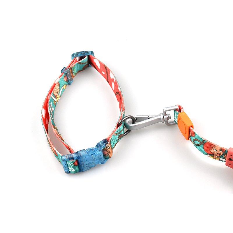 2023 New Wholesale Custom Nylon Tape Lock Suitable Large Medium Pet Dogs Collar Leash Lead Set