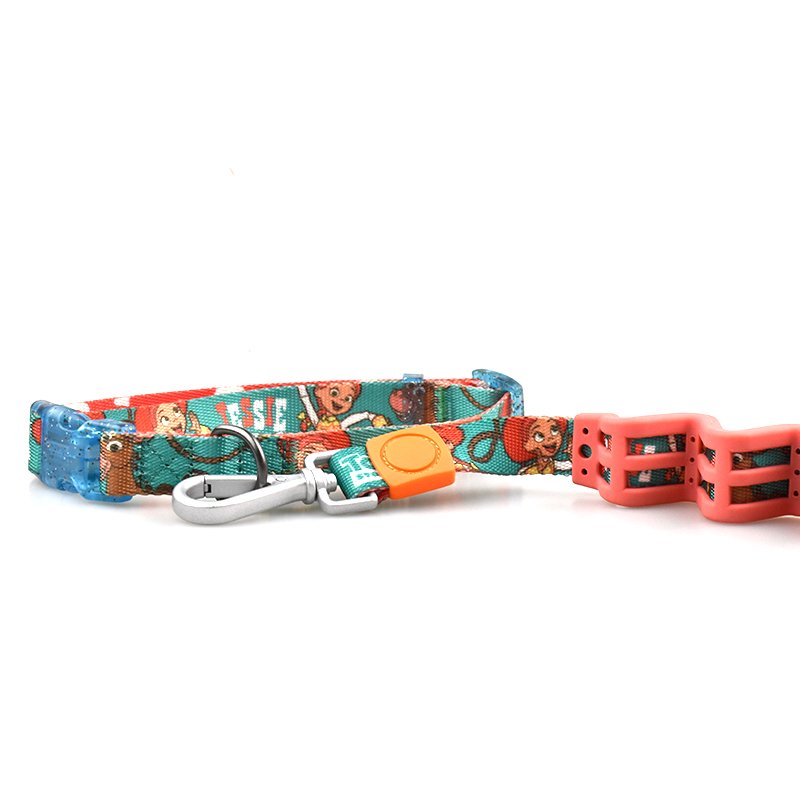 2023 New Wholesale Custom Nylon Tape Lock Suitable Large Medium Pet Dogs Collar Leash Lead Set