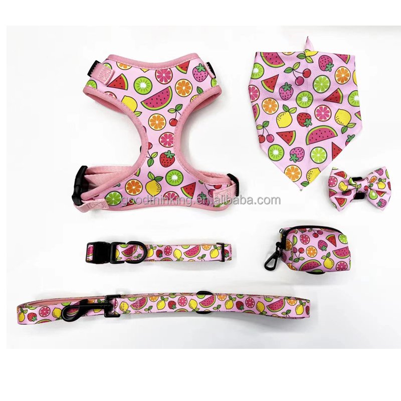 Pet harnesses set polyester factory customization design patterns other pet collars leashes & harnesses