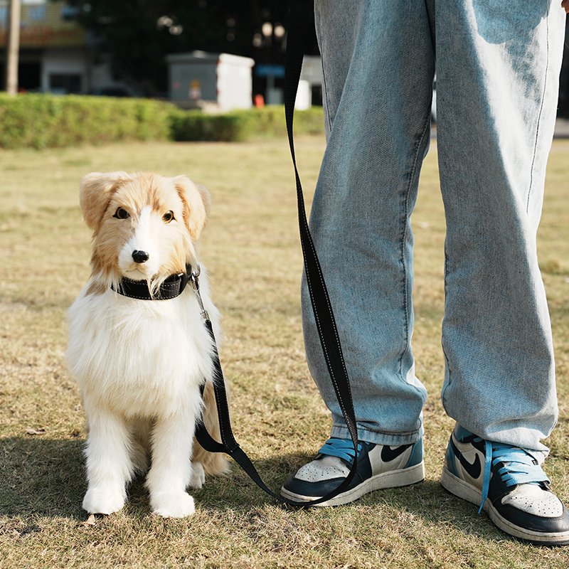 Reflective Adjustable Pet Leash and Harness for Small to Medium Dogs High-quality Pet Supplies with Comfortable Collar and Leash