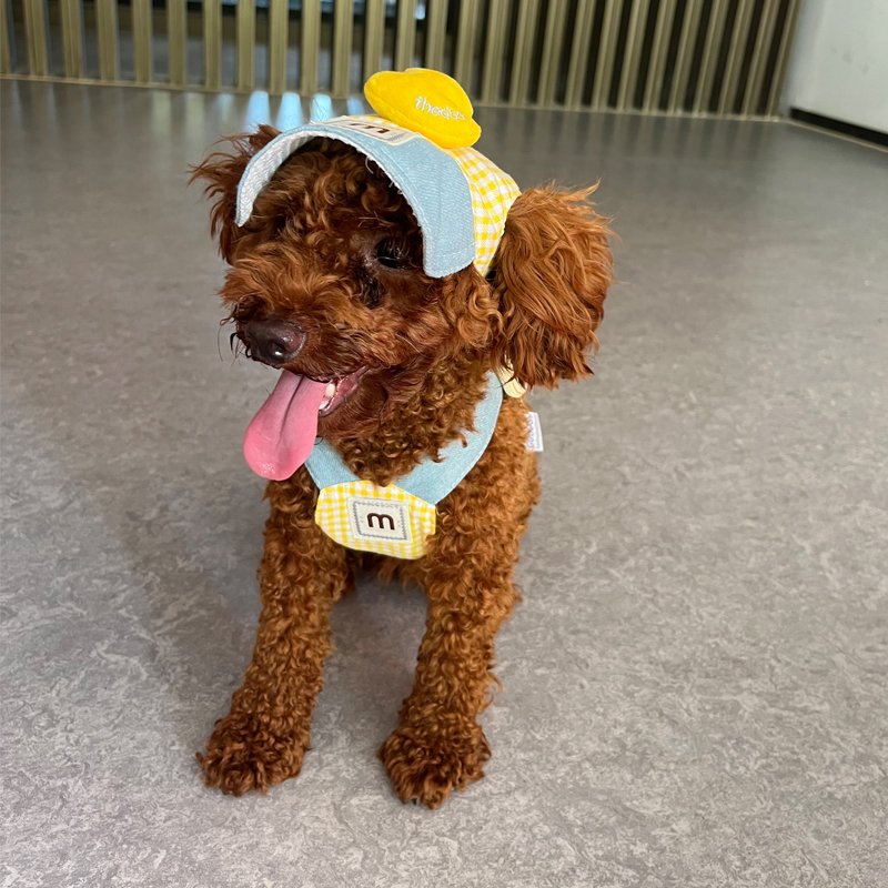 Custom Luxury Pet Accessories Collar Leash Adjustable Dog Harness Vest Set Pet Harnesses For Dogs