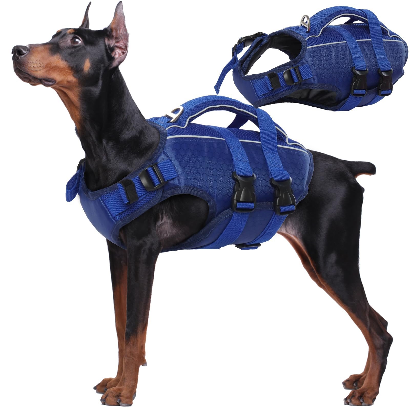 Custom Designer Durable Pvc Soft Waterproof Adjustable Luxury Lead Walk Small Pet Dog Collar Leashes Set