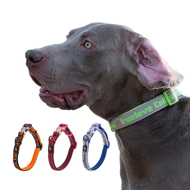 Customized Pet Collar Adjustable Pet Collar Leash Set In Bulk And Leash With Shiny Polyester Material Durable