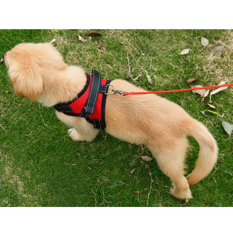 Custom Large Pet Harness Sets XL Dog Vest in Cool Black with Neoprene Mesh Polyester Material Personalized Collar Leash