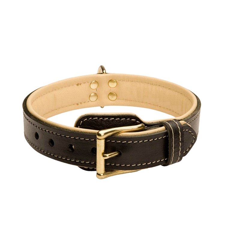 Soft comfortable genuine padded leather dog collar