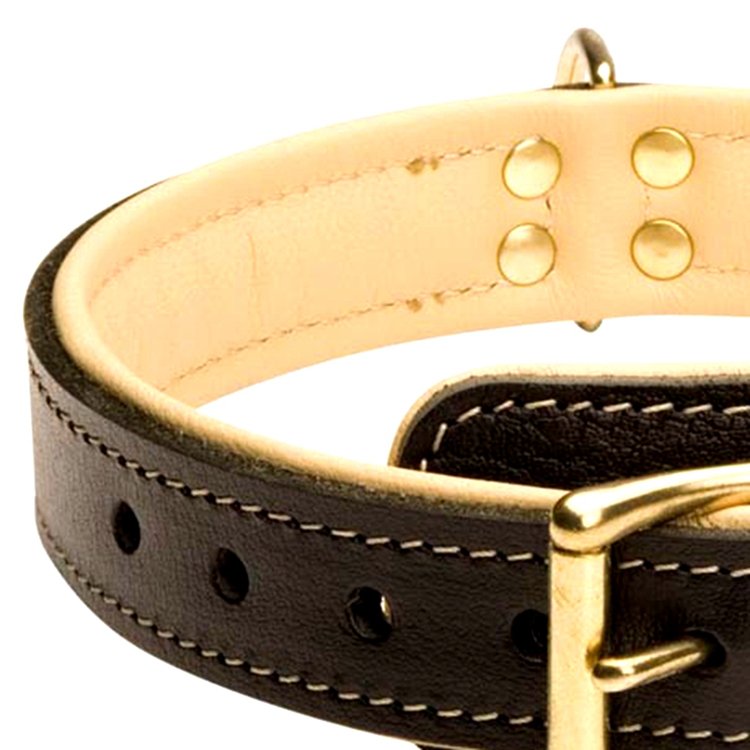 Soft comfortable genuine padded leather dog collar