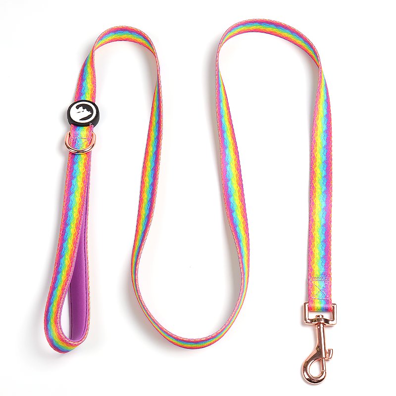 Luxury Custom Designer Pet Dog Walking Lead Leashes Personalized Dog Leash With Poop Bag Holder